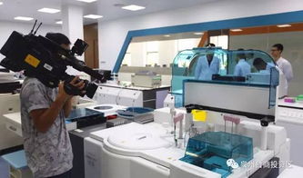 驚艷登場！泉州版迪士尼即將亮相，預計最快2019年開放，未來片區聚焦針紡織品銷售